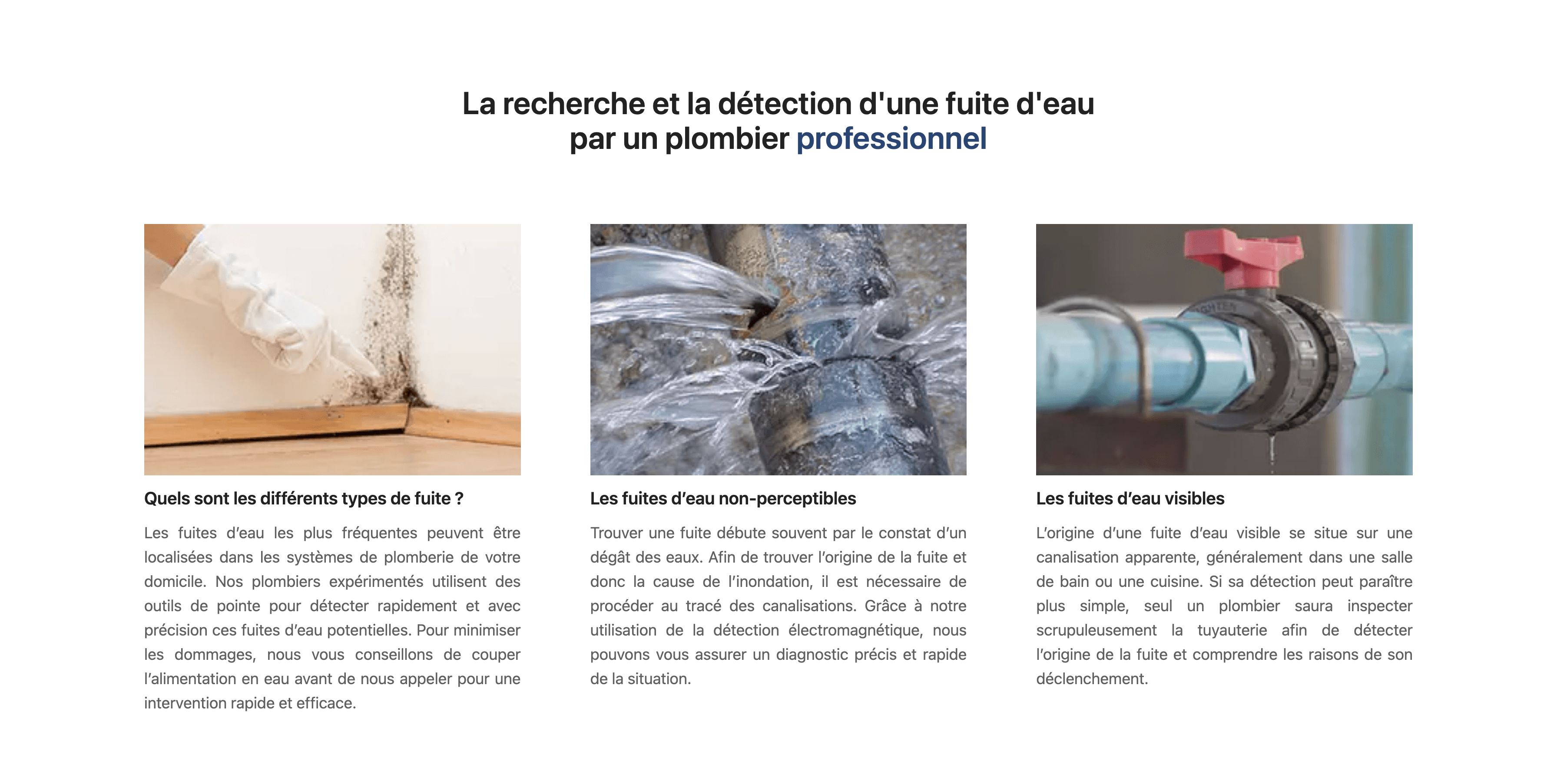 MBS Services & Travaux