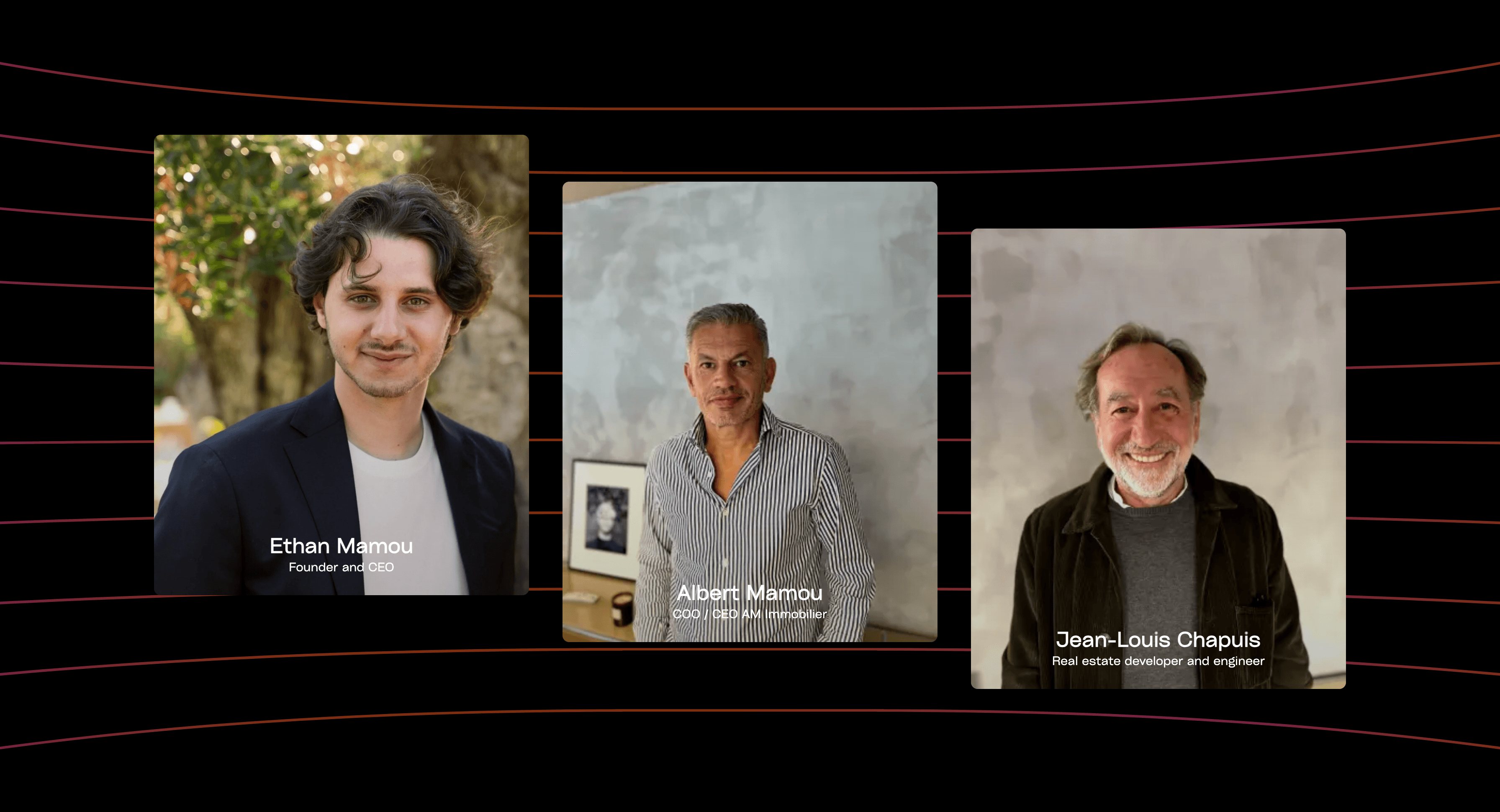 Stone Real Estate website